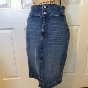 Gap Denim Skirt
